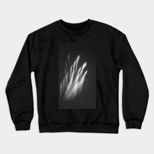 Transparent Feather Crewneck Sweatshirt